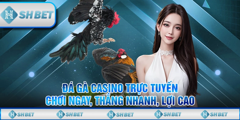 đá gà casino