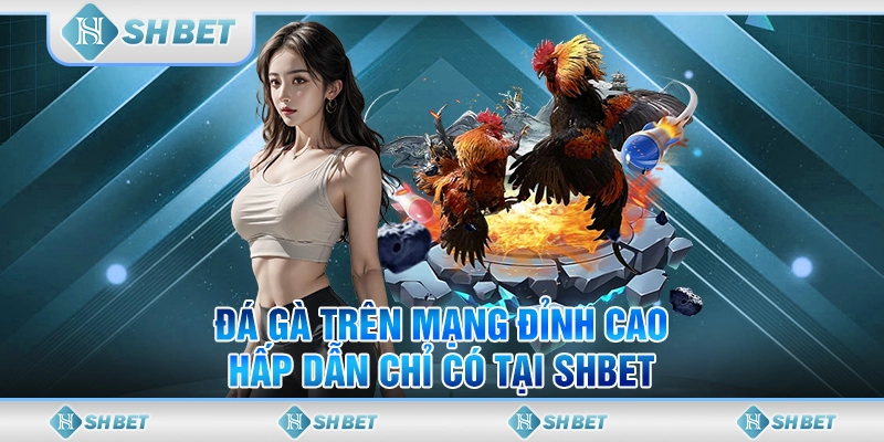 đá gà trên mạng