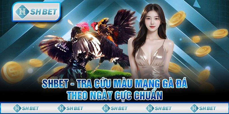 SHBET - Tra Cứu Màu Mạng Gà Đá Theo Ngày Cực Chuẩn