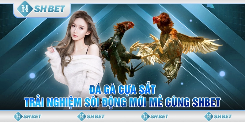 đá gà cựa sắt