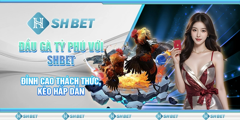 Đấu Gà Tỷ Phú Với SHBET: Đỉnh Cao Thách Thức, Kèo Hấp Dẫn