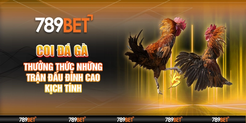 Coi Đá Gà – Thưởng Thức Những Trận Đấu Đỉnh Cao Kịch Tính