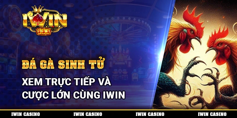 Đá Gà Sinh Tử, xem trực tiếp và cược lớn cùng IWIN