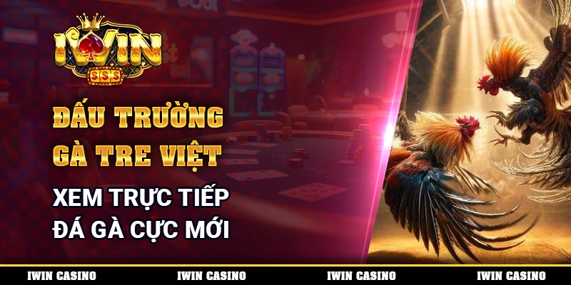 Đấu Trường Gà Tre Việt - Xem Trực Tiếp Đá Gà Cực Mới