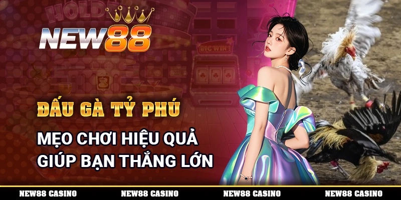 Đấu Gà Tỷ Phú