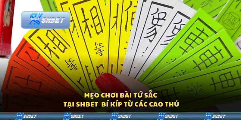 Mẹo chơi bài tứ sắc tại Shbet – Bí kíp từ các cao thủ