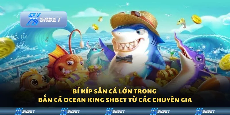 Bí kíp săn cá lớn trong Bắn Cá Ocean King Shbet từ các chuyên gia