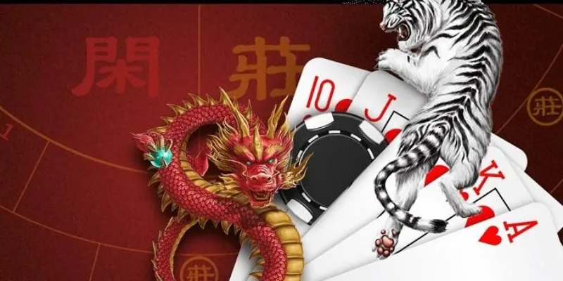 Một vài chiến lược soi cầu Rồng Hổ để nâng cao tỷ lệ thắng