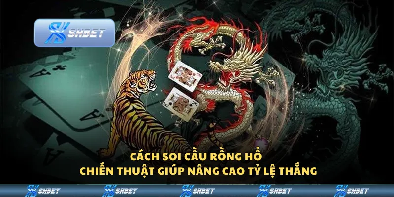 Cách soi cầu Rồng Hổ – Chiến thuật giúp nâng cao tỷ lệ thắng