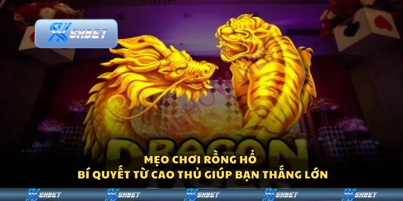 Mẹo chơi Rồng Hổ – Bí quyết từ cao thủ giúp bạn thắng lớn