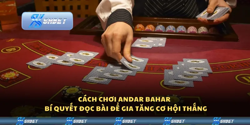 Cách chơi Andar Bahar – Bí quyết đọc bài để gia tăng cơ hội thắng